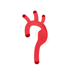 主(zhu)動(dòng)脈疾病解決方(fang)案